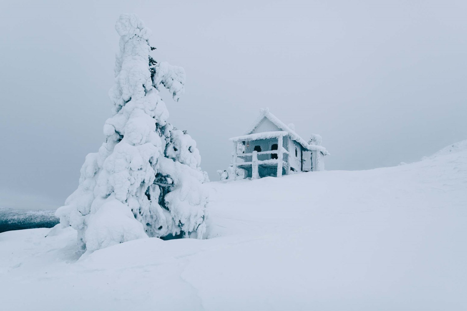 Paisaje nevado de la Laponia sueca