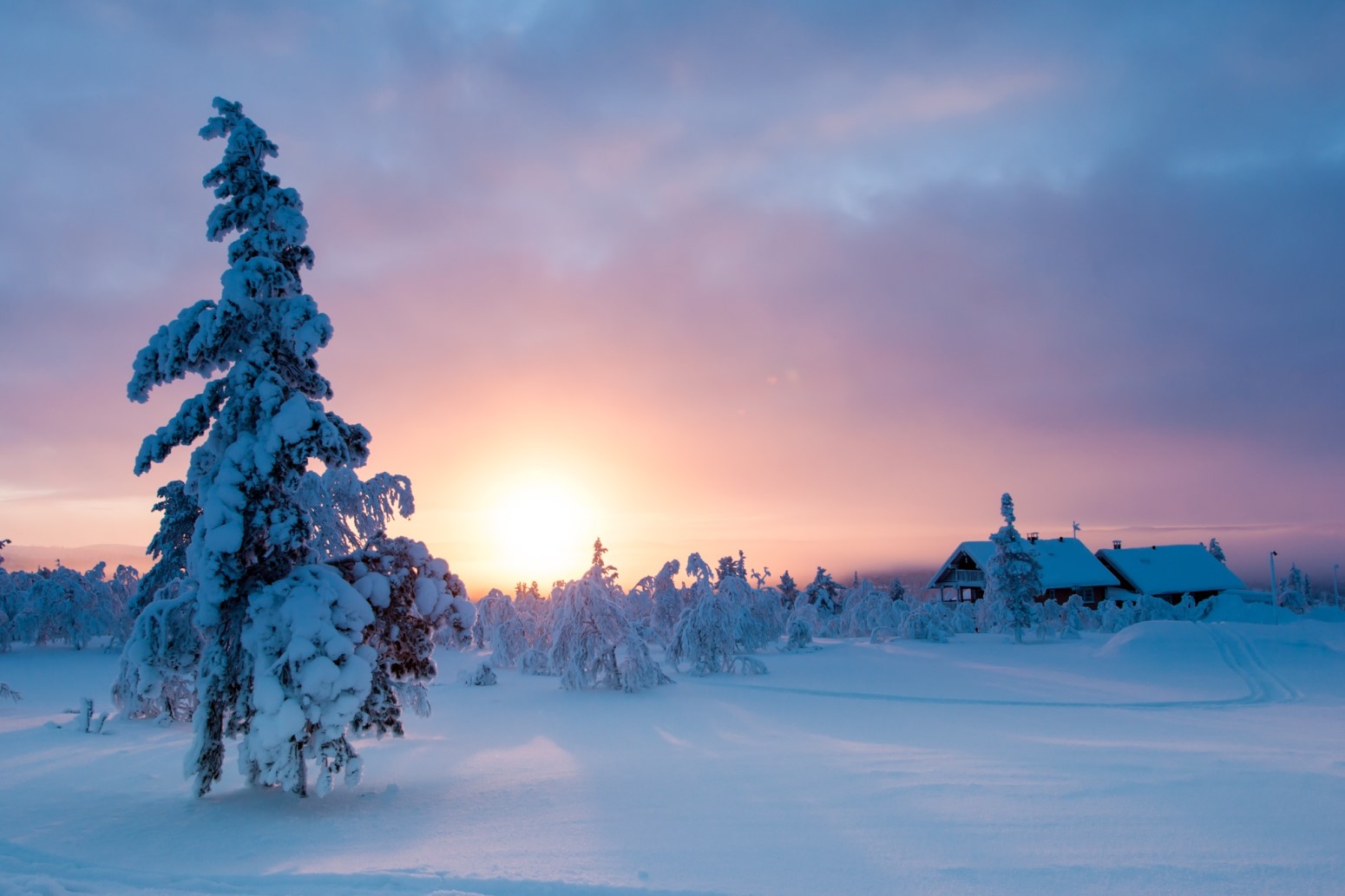 Sol de invierno sobre los bosques de Laponia