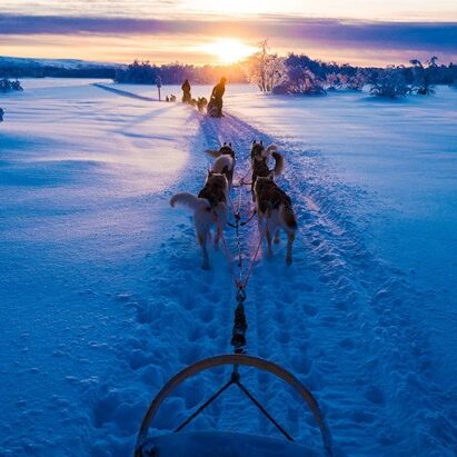 viajes a Laponia segun el tipo de familias, aventura