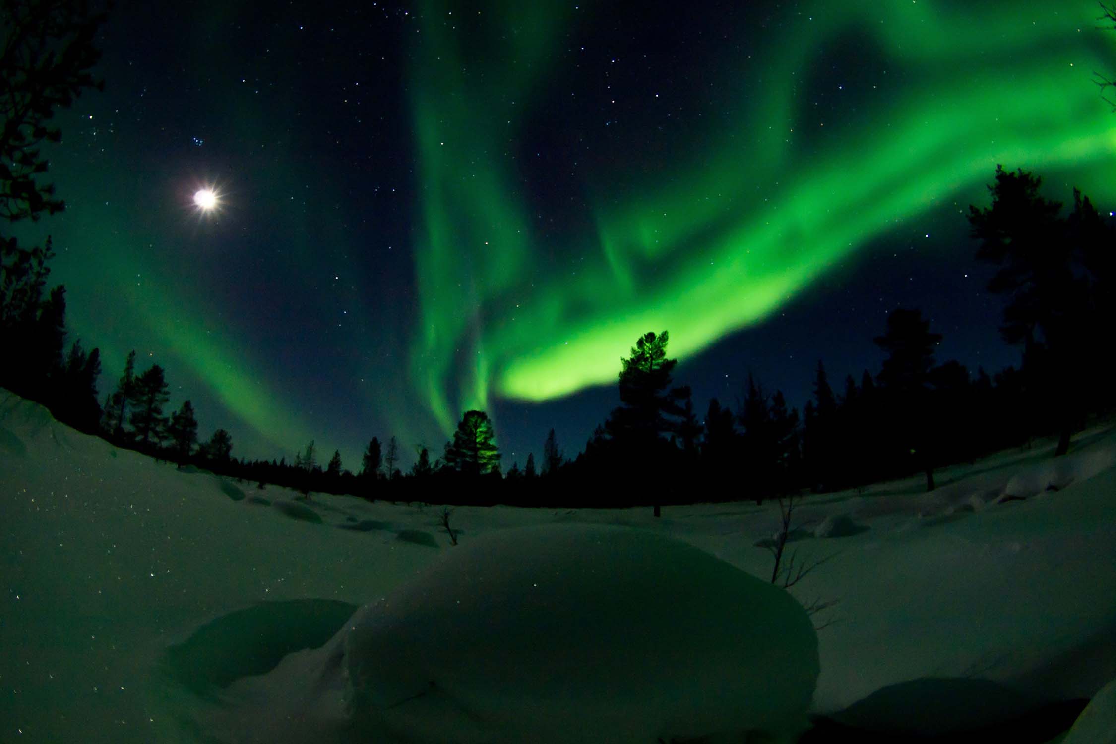 aurora boreal en laponia espectaculo de la naturaleza