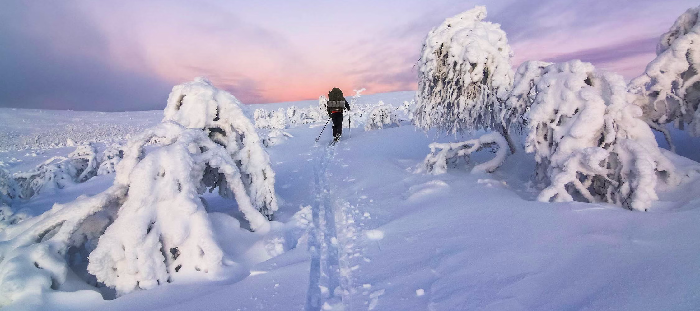 excursiones en laponia